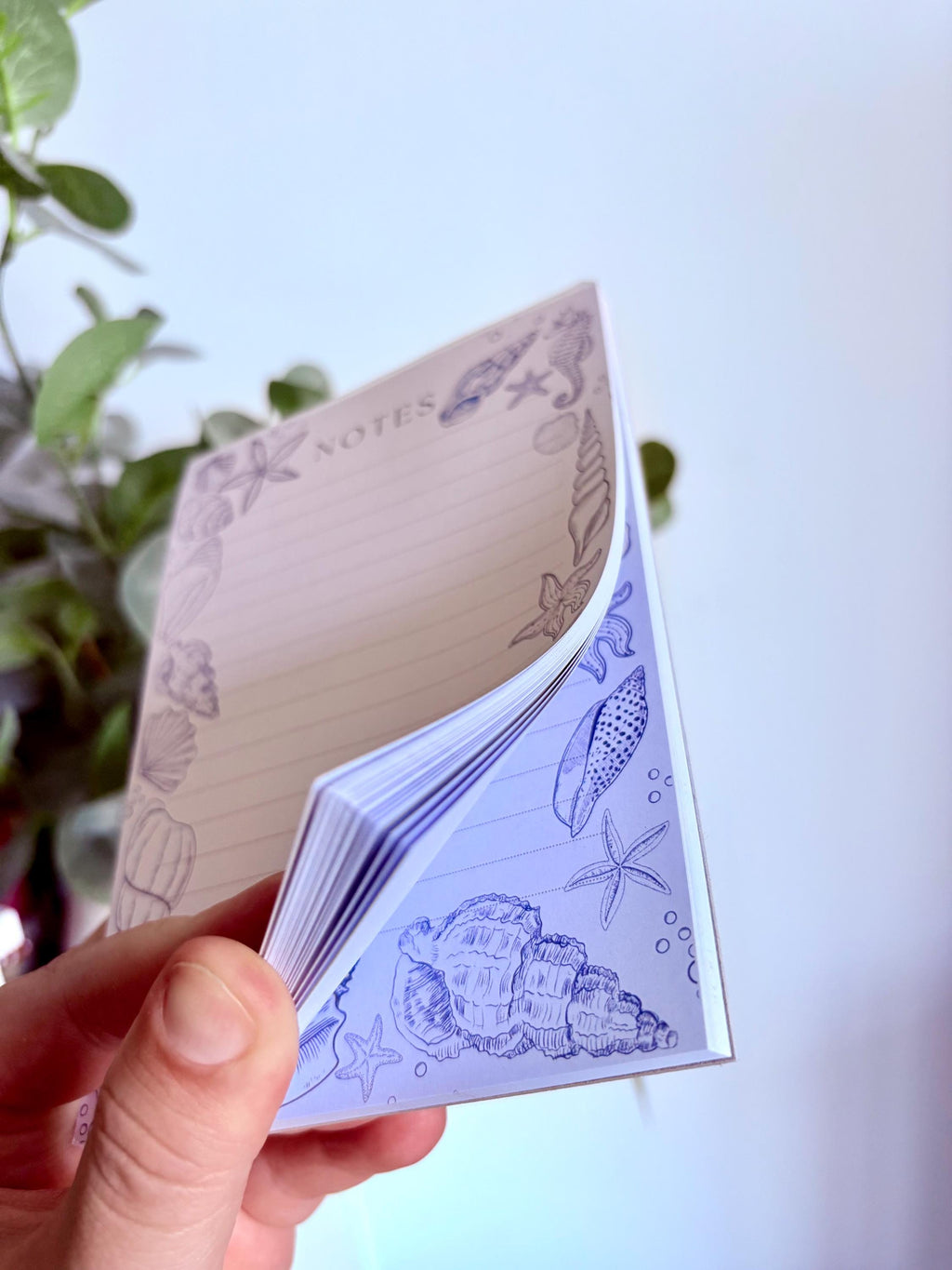 Sea shell notepad
