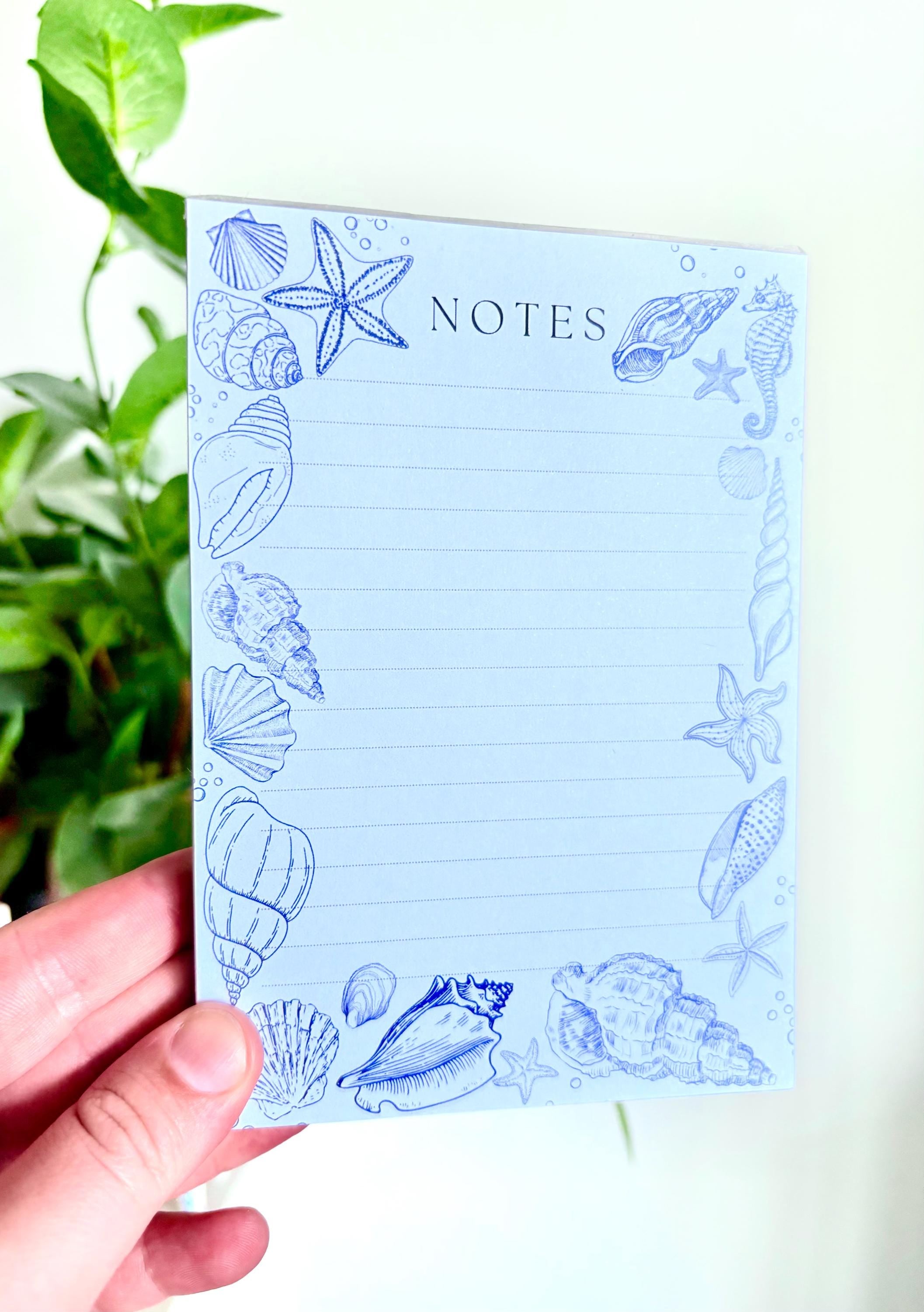 Sea shell notepad